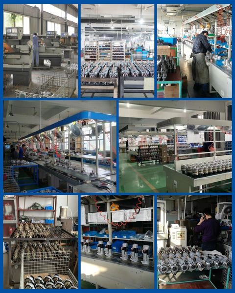 Guangzhou Dongling electromechanical Equipment Co., LTD خط تولید تولید کننده